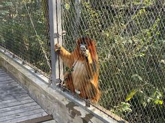 -哈尔滨北方森林动物园