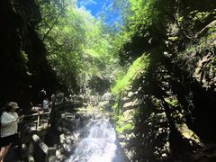 -牛背梁国家森林公园