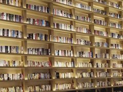 -深影国际影城(学院南路店CGS中国巨幕店)