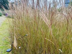 -中国杭州低碳科技馆