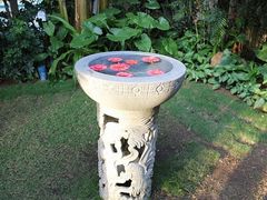 IMG_0891-三亚亚龙湾五号度假别墅酒店