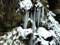 -祁门牯牛降观音堂风景区