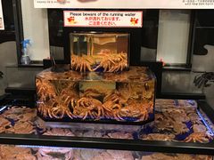 -蟹道乐(道顿堀本店)