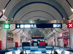 -大望路(地铁站)