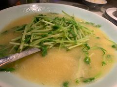 豆苗-绿茶餐厅(汇悦大融城店)