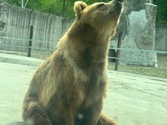 -哈尔滨北方森林动物园