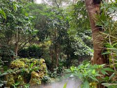 -深圳仙湖植物园