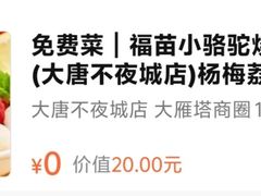 -福苗小骆驼烧烤(大唐不夜城店)