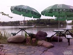 -昆山城市生态森林公园