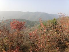 -香山公园
