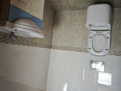 -金山农民画村-枫泾波兰倒置屋