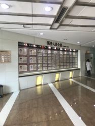 -杭州天目山妇产医院