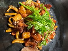 -食乐佳麻辣香锅(森林摩尔商业街区店)