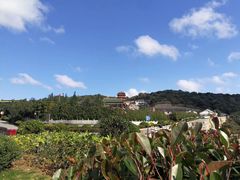 -普陀山祥生大酒店