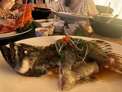 -采悦轩中餐厅·粤菜·海南菜(神州半岛喜来登度假酒店)
