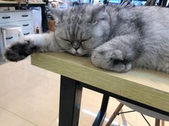 -Oasis绿洲银饰珍珠手作diy(壹方城店)