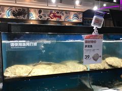 水产区-盒马鲜生(曜一城店)