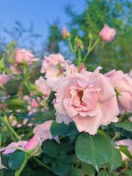 -新晨·SALON·形象造型