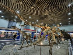 -国家自然博物馆