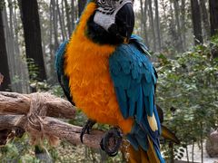 -北京野生动物园