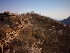 -大岭沟猕猴桃谷风景区