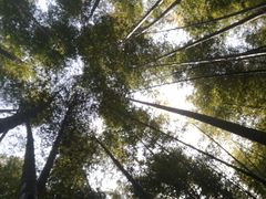 -鸡枕山