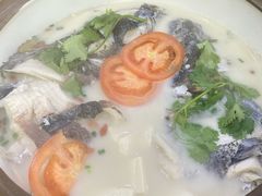 -全乐鱼馆·淳牌有机鱼直营店