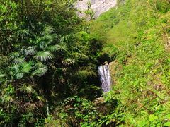 -鹿院坪生态旅游景区