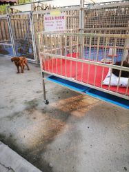 -萌宠亲子动物乐园(槐房万达店)