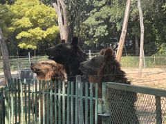 -秦皇岛野生动物园