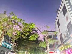 -后海村