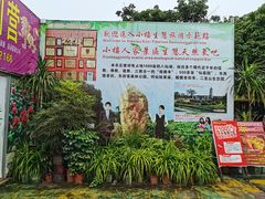 -荔枝红五号农庄