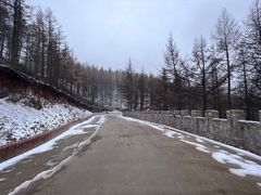 -苏木山森林公园
