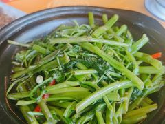 -东方之猪四更烤乳猪(金垦总店)