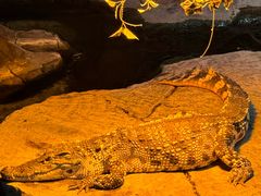 -泉城欧乐堡海洋极地世界