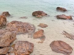 景点-杨梅坑