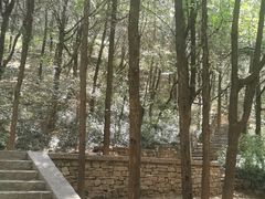-佛慧山