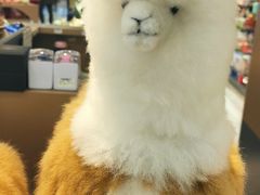 -细擁雲吞面(同创汇店)