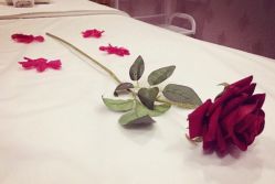 -香榭丽舍·海菲秀·皮肤管理痘敏肌修护
