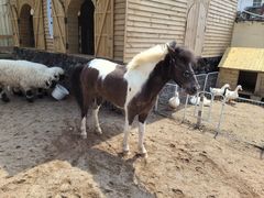 -HERRE·FARM 赫尔露营农场·团建聚会包场