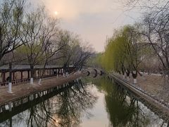 -桃花堤公园