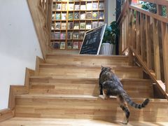 -猫的天空之城概念书店(杭州南宋御街店)