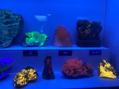 -湖南省地质博物馆