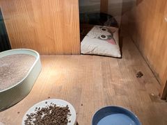 -有才叔的小馆(招商依云曲江店)