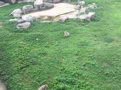 -南昌动物园