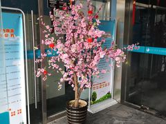 -苏州海洋馆