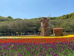 -苏州上方山国家森林公园