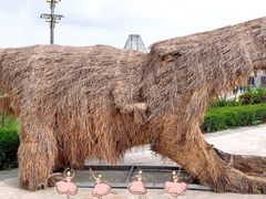 -霸王河欢乐世界