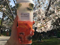 绛初匀·樱花茶-鸡鸣赐茶(鸡鸣寺路店)