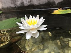 -客家大院·非遗赣南客家菜(郁孤台店)
